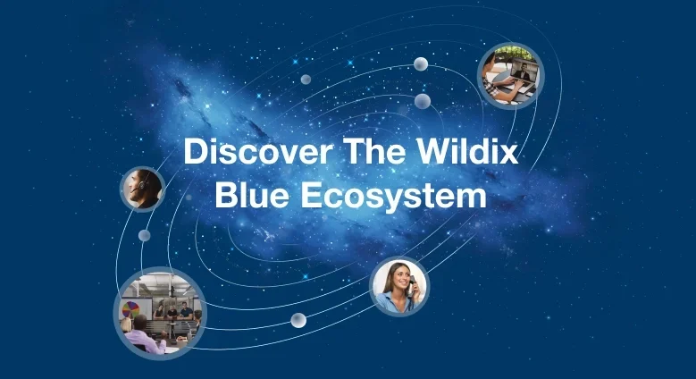 blue-ecosystem