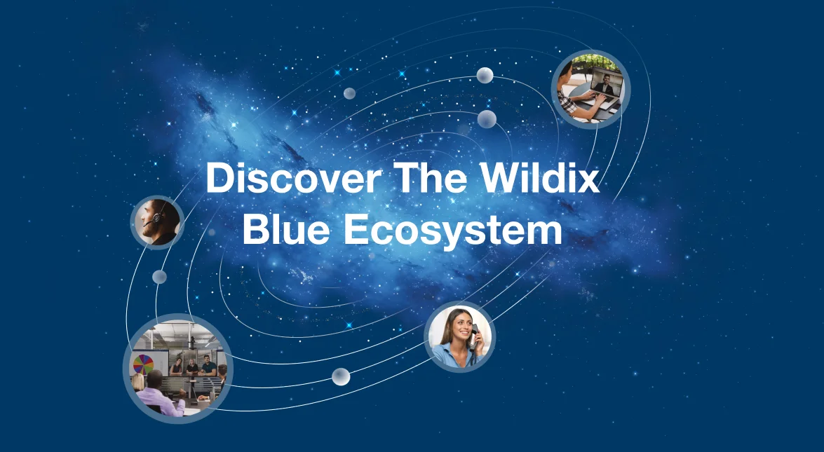 Discover-the-blue-ecosystem