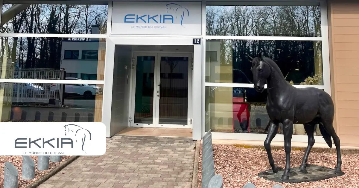 Ekkia Case study